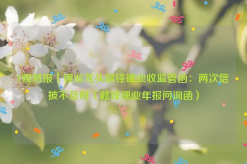 V观财报｜锂业龙头赣锋锂业收监管函：两次信披不及时（赣锋锂业年报问询函）