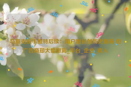 马斯克接手推特后续：用户增长创历史新高 但广告商却大量撤离_平台_企业_收入