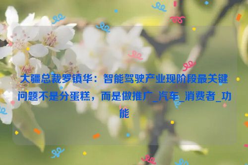 大疆总裁罗镇华：智能驾驶产业现阶段最关键问题不是分蛋糕，而是做推广_汽车_消费者_功能