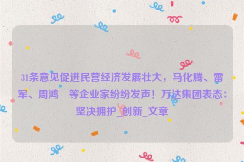 31条意见促进民营经济发展壮大，马化腾、雷军、周鸿祎等企业家纷纷发声！万达集团表态：坚决拥护_创新_文章