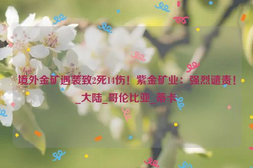 境外金矿遇袭致2死14伤！紫金矿业：强烈谴责！_大陆_哥伦比亚_蒂卡