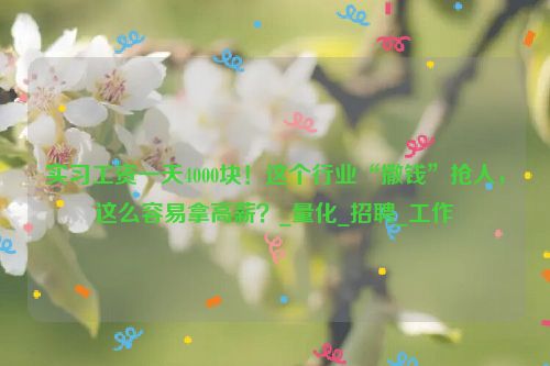 实习工资一天4000块！这个行业“撒钱”抢人，这么容易拿高薪？_量化_招聘_工作