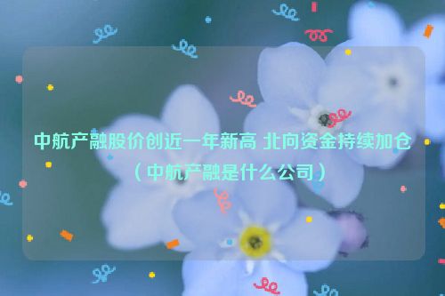 中航产融股价创近一年新高 北向资金持续加仓（中航产融是什么公司）