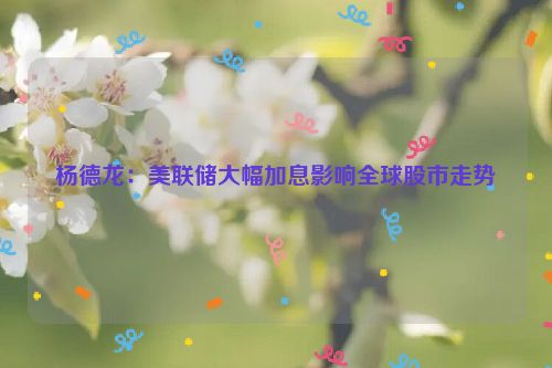 杨德龙：美联储大幅加息影响全球股市走势