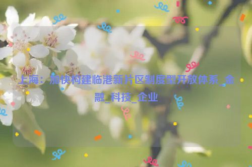 上海：加快构建临港新片区制度型开放体系_金融_科技_企业