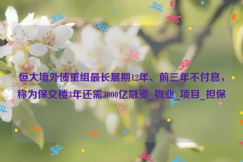 恒大境外债重组最长展期12年、前三年不付息，称为保交楼3年还需3000亿融资_物业_项目_担保