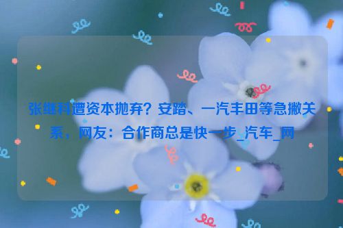 张继科遭资本抛弃？安踏、一汽丰田等急撇关系，网友：合作商总是快一步_汽车_网