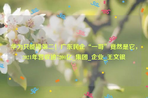 华为只能排第二！广东民企“一哥”竟然是它，2021年营收逾7200亿_集团_企业_王文银