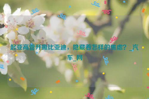 起亚高管开撕比亚迪，隐藏着怎样的焦虑？_汽车_网