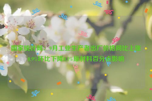 国家统计局：9月工业生产者出厂价格同比上涨0.9%环比下降0.1%原材料百分点影响