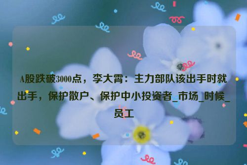 A股跌破3000点，李大霄：主力部队该出手时就出手，保护散户、保护中小投资者_市场_时候_员工