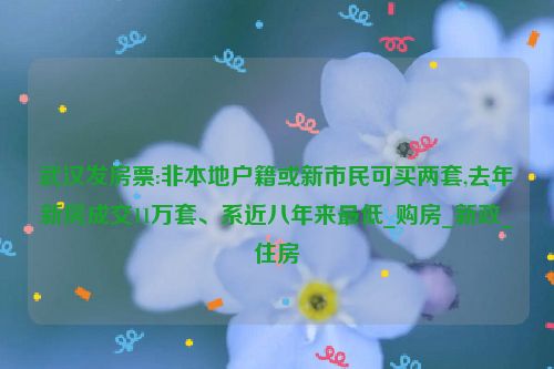 武汉发房票:非本地户籍或新市民可买两套,去年新房成交11万套、系近八年来最低_购房_新政_住房