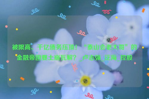 被限高、千亿债务压顶！“泰山会老大哥”的金融帝国要土崩瓦解？_卢志强_泛海_控股