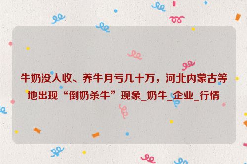 牛奶没人收、养牛月亏几十万，河北内蒙古等地出现“倒奶杀牛”现象_奶牛_企业_行情