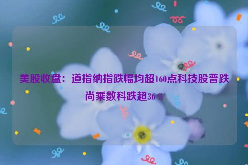 美股收盘：道指纳指跌幅均超160点科技股普跌尚乘数科跌超36％