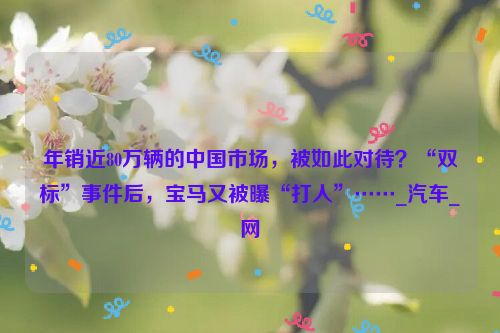 年销近80万辆的中国市场，被如此对待？“双标”事件后，宝马又被曝“打人”……_汽车_网