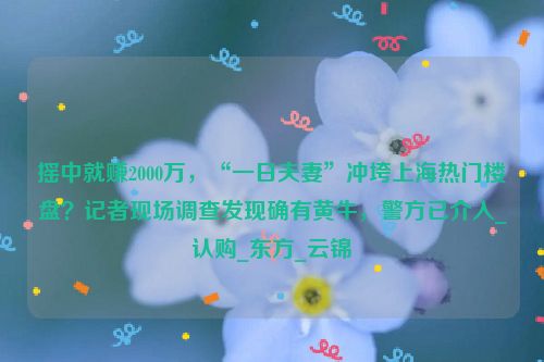 摇中就赚2000万，“一日夫妻”冲垮上海热门楼盘？记者现场调查发现确有黄牛，警方已介入_认购_东方_云锦