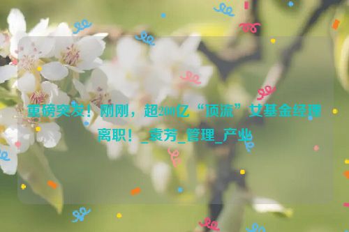 重磅突发！刚刚，超200亿“顶流”女基金经理离职！_袁芳_管理_产业