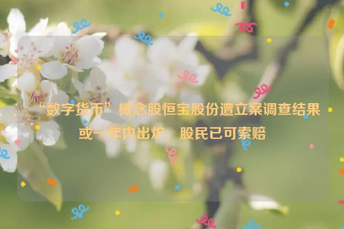 “数字货币”概念股恒宝股份遭立案调查结果或一年内出炉，股民已可索赔