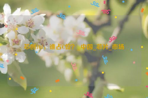 芯创101，谁占C位？_中国_芯片_市场