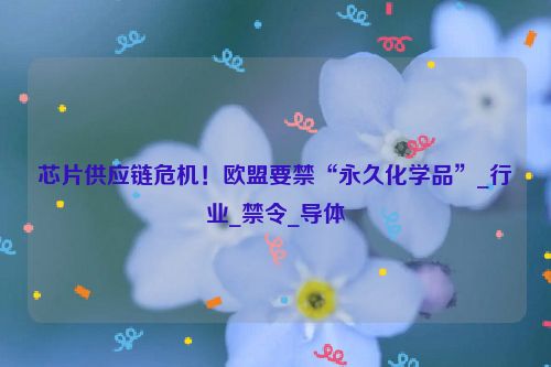 芯片供应链危机！欧盟要禁“永久化学品”_行业_禁令_导体