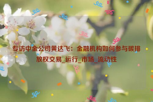 专访中金公司黄达飞：金融机构如何参与碳排放权交易_运行_市场_流动性