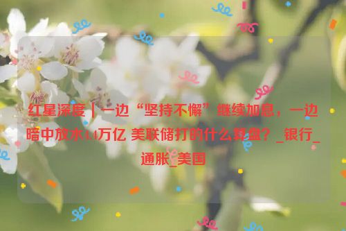 红星深度｜一边“坚持不懈”继续加息，一边暗中放水4.4万亿 美联储打的什么算盘？_银行_通胀_美国