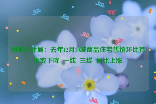 国家统计局：去年12月70城商品住宅售价环比持平或下降_一线_三线_同比上涨