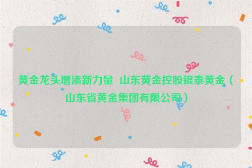 黄金龙头增添新力量  山东黄金控股银泰黄金（山东省黄金集团有限公司）