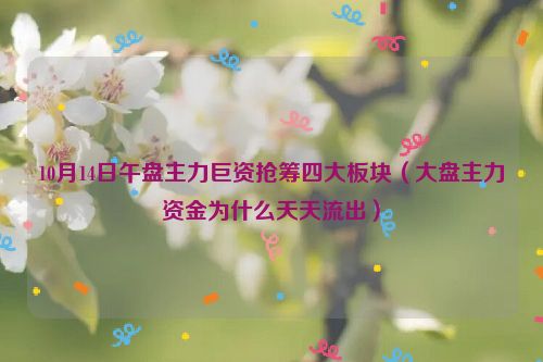 10月14日午盘主力巨资抢筹四大板块（大盘主力资金为什么天天流出）