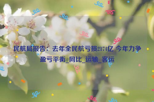 民航局报告：去年全民航亏损2174亿 今年力争盈亏平衡_同比_运输_客运