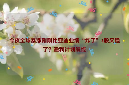 今夜全球暴涨刚刚比亚迪业绩“炸了”A股又稳了？盈利计划航线