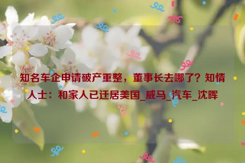 知名车企申请破产重整，董事长去哪了？知情人士：和家人已迁居美国_威马_汽车_沈晖