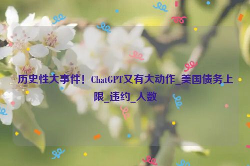 历史性大事件！ChatGPT又有大动作_美国债务上限_违约_人数