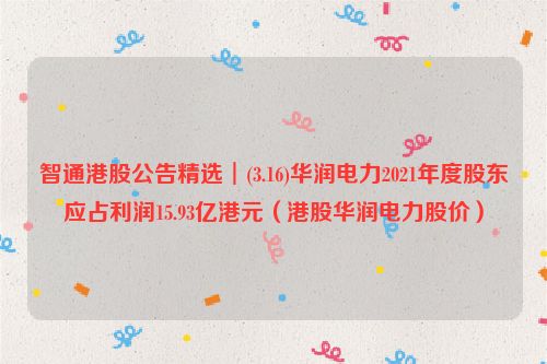 智通港股公告精选︱(3.16)华润电力2021年度股东应占利润15.93亿港元（港股华润电力股价）