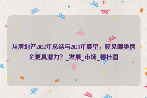 从房地产2022年总结与2023年展望，窥见哪类房企更具潜力？_发展_市场_碧桂园