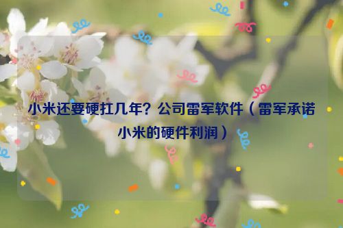 小米还要硬扛几年？公司雷军软件（雷军承诺小米的硬件利润）