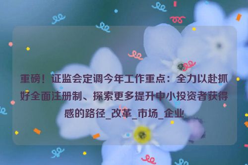 重磅！证监会定调今年工作重点：全力以赴抓好全面注册制、探索更多提升中小投资者获得感的路径_改革_市场_企业