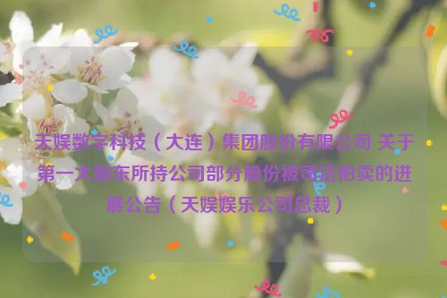 天娱数字科技（大连）集团股份有限公司 关于第一大股东所持公司部分股份被司法拍卖的进展公告（天娱娱乐公司总裁）