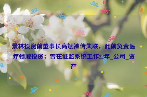 景林投资前董事长高斌被传失联，此前负责医疗领域投资；曾在证监系统工作22年_公司_资产