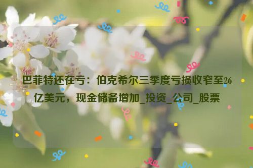 巴菲特还在亏：伯克希尔三季度亏损收窄至26亿美元，现金储备增加_投资_公司_股票