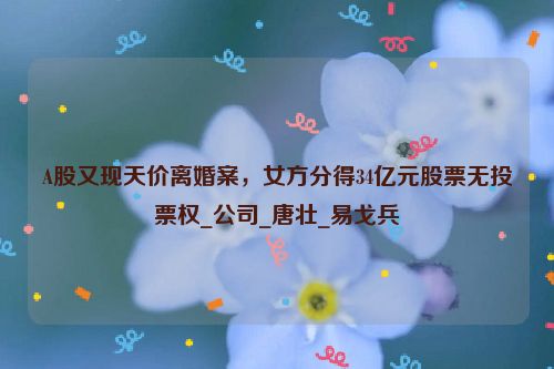 A股又现天价离婚案，女方分得34亿元股票无投票权_公司_唐壮_易戈兵