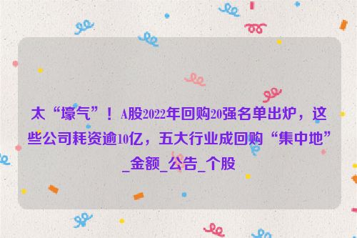 太“壕气”！A股2022年回购20强名单出炉，这些公司耗资逾10亿，五大行业成回购“集中地”_金额_公告_个股