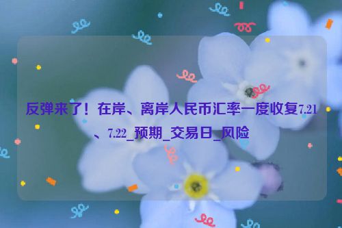 反弹来了！在岸、离岸人民币汇率一度收复7.21、7.22_预期_交易日_风险