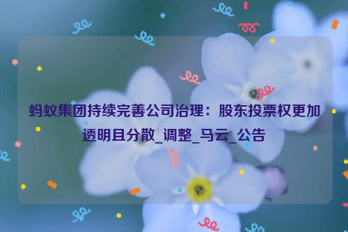 蚂蚁集团持续完善公司治理：股东投票权更加透明且分散_调整_马云_公告