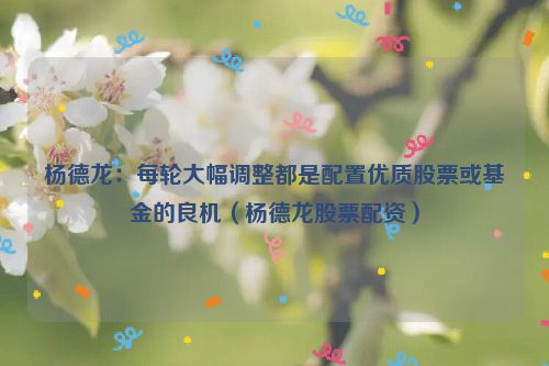 杨德龙：每轮大幅调整都是配置优质股票或基金的良机（杨德龙股票配资）