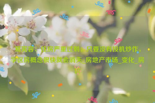 易宪容：住房严重过剩；只要没有投机炒作，学区房概念很快就会消失_房地产市场_变化_房价