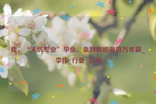 我，“天坑专业”毕业，拿到新能源百万年薪_李伟_行业_公司