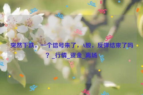 突然下跌，一个信号来了，A股，反弹结束了吗？_行情_资金_离场