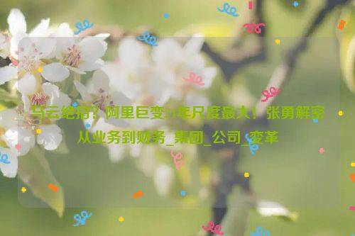 马云绝招？阿里巨变24年尺度最大！张勇解密从业务到财务_集团_公司_变革